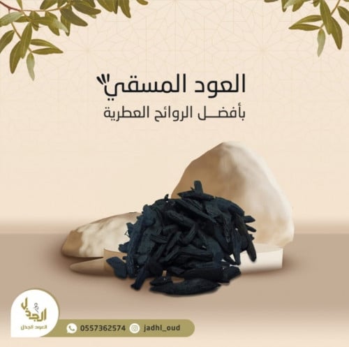 العود المسقى