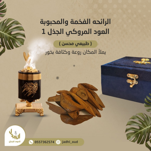 العود الموروكي الجذل