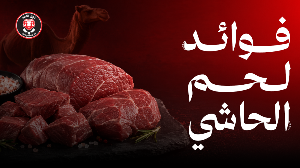 كل ماتريد معرفته عن فوائد لحم الحاشي