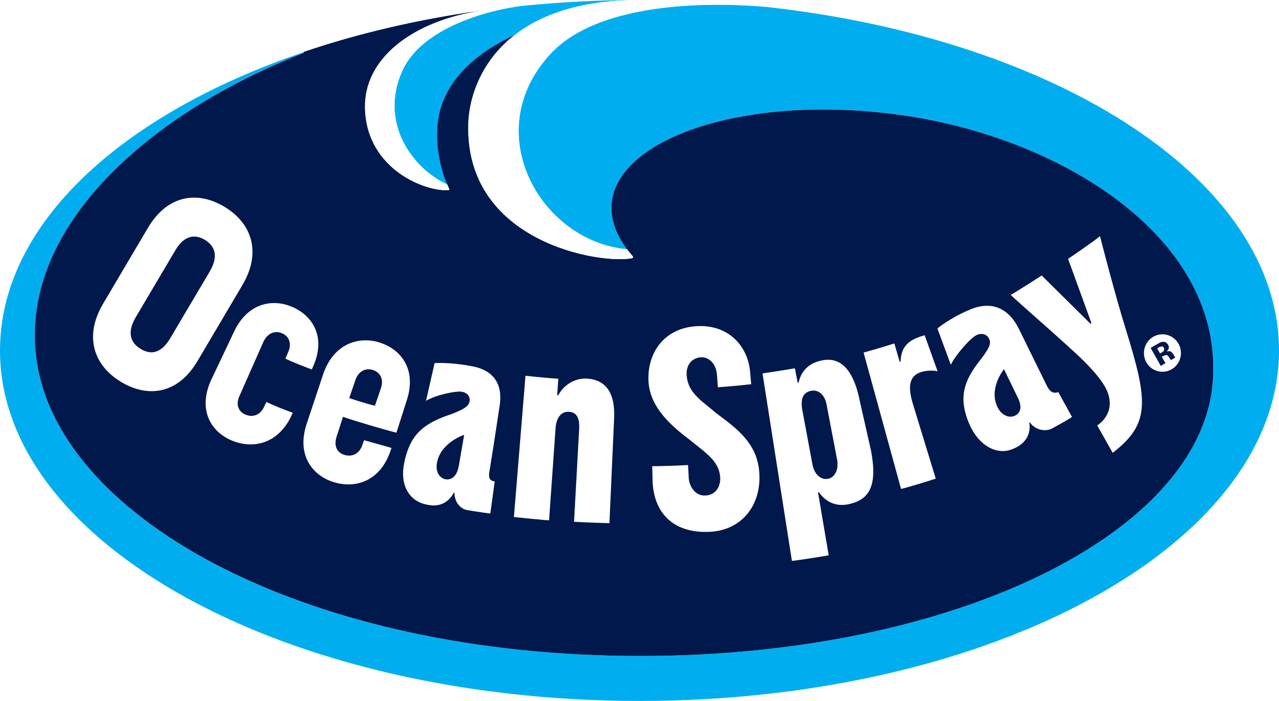 اوشن سبراي ocean spray