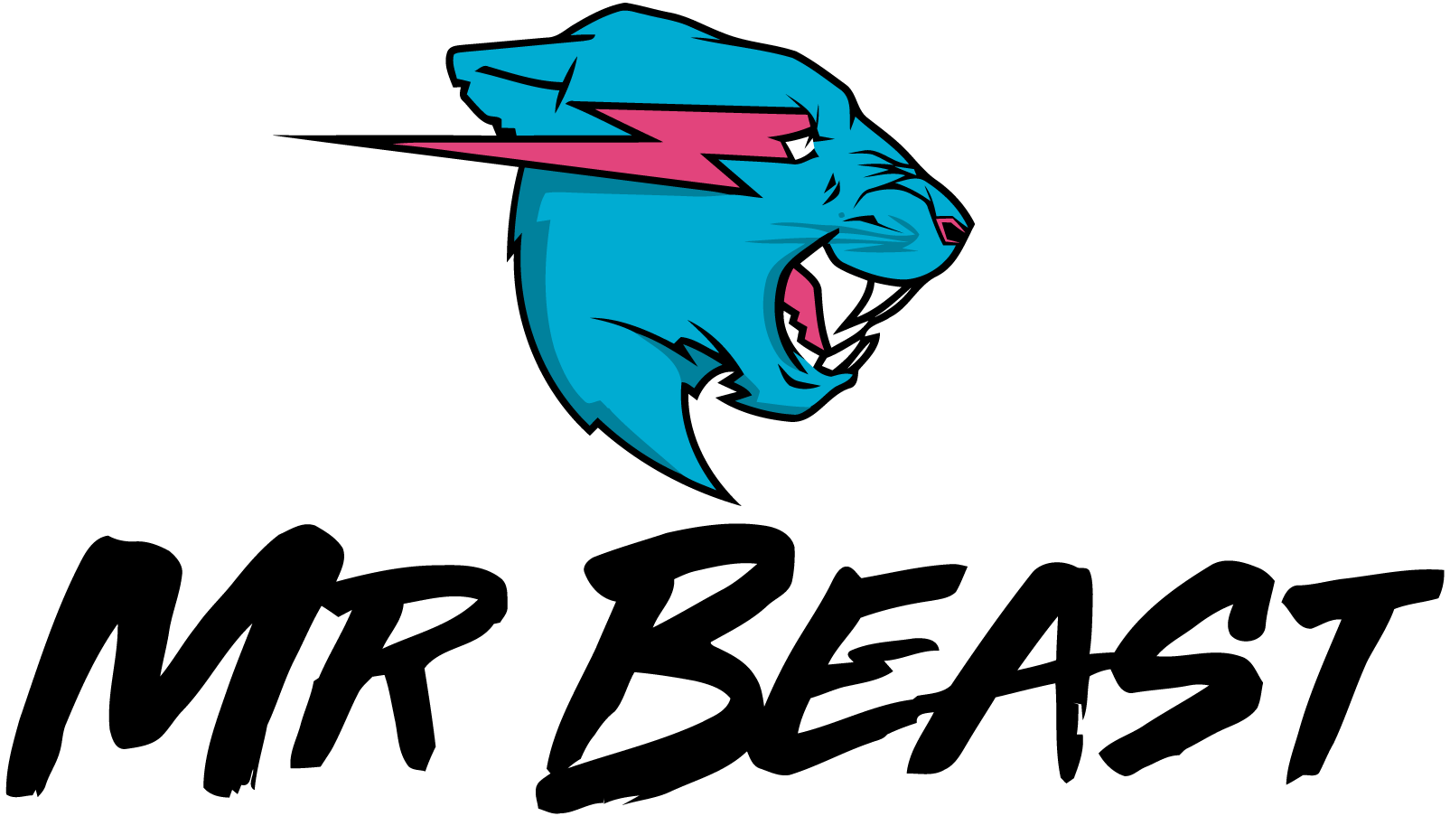 مستر بيست MR BEAST