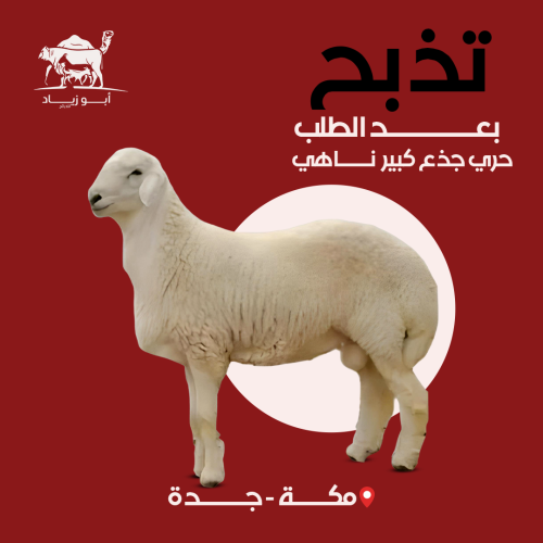حري جذع كبير ناهي