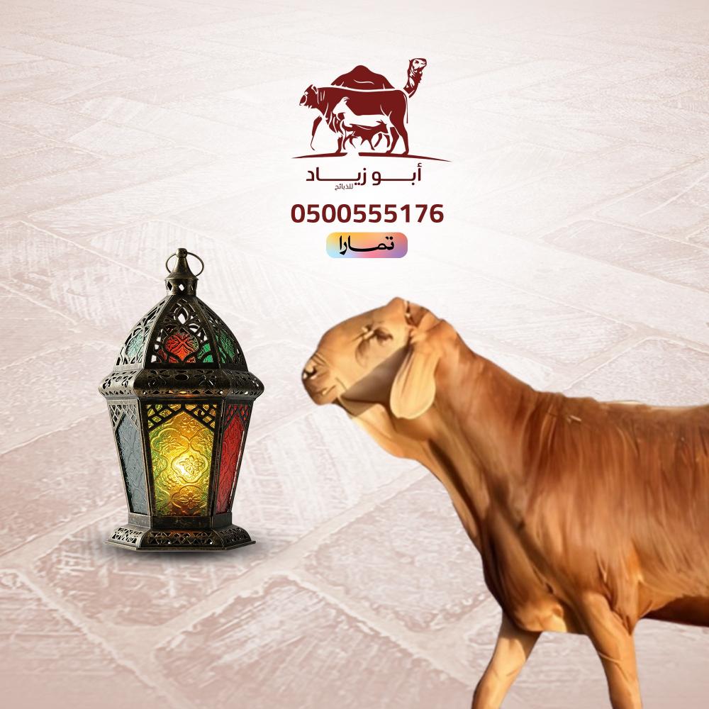 احجز ذبيحتك قبل رمضان: الكميات من الحري والسواكني والتيوس أوشكت على النفاد