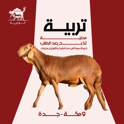 ذبيحة سواكني مع الطبخ والتوزيع وجبات