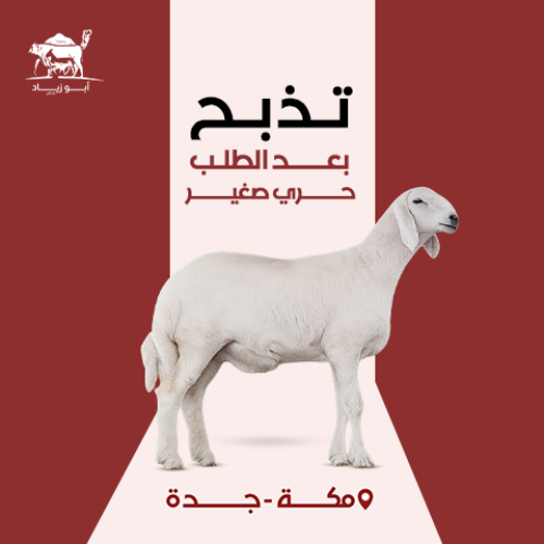 حري صغير