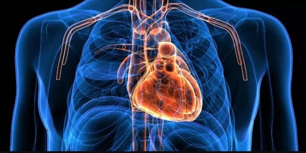 تنظيم أدوية القلب خلال رمضان