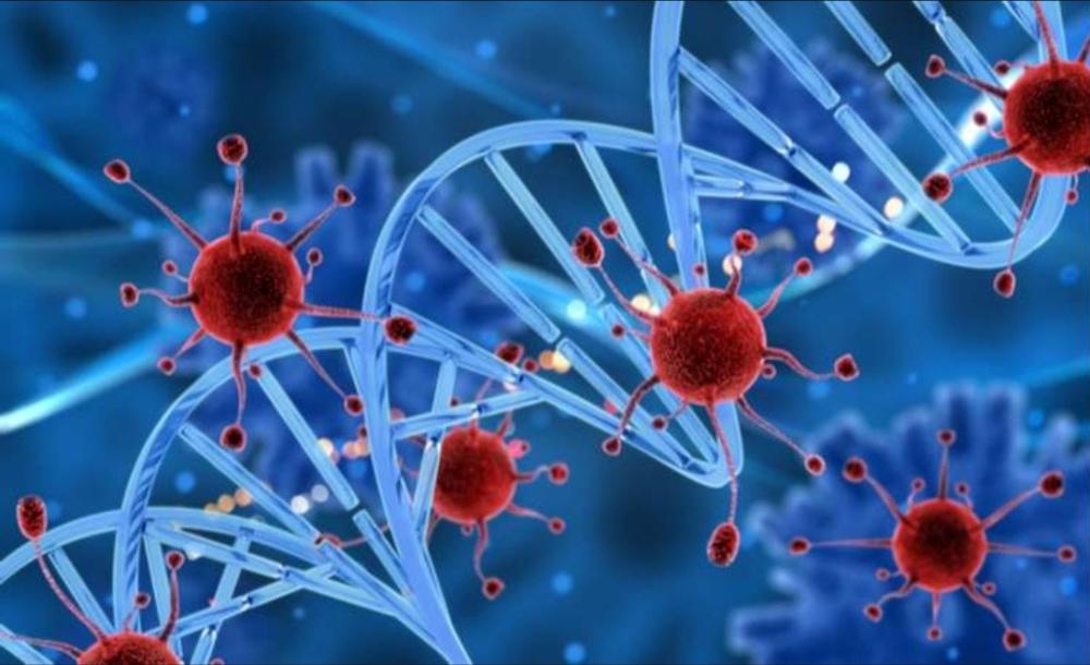 دليل تنظيم أدوية الأورام في شهر رمضان