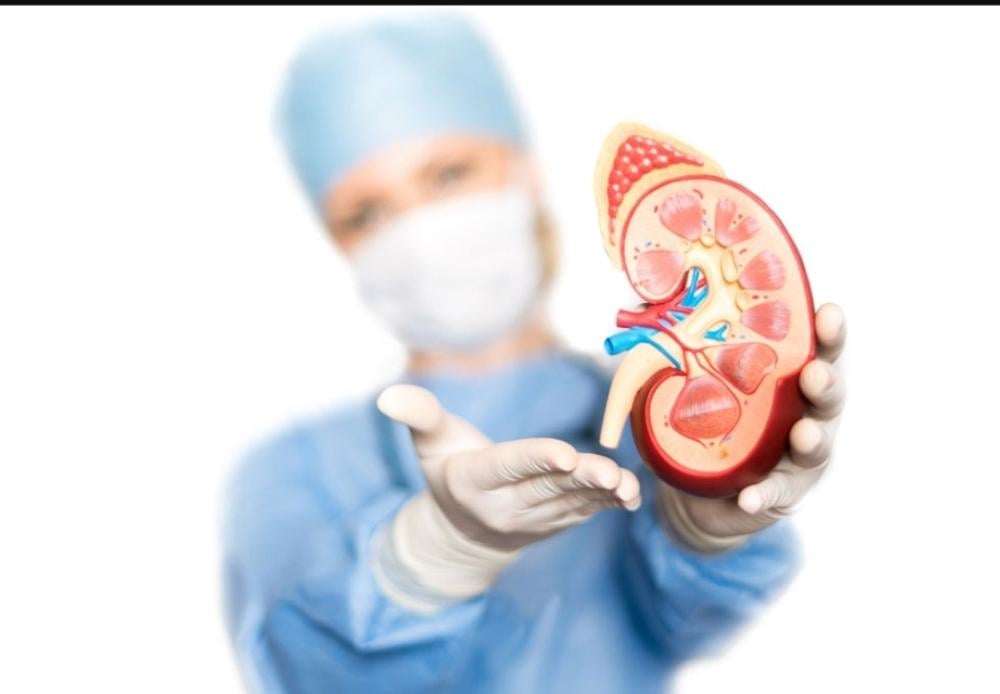 تعرف على كيفية تنظيم أدوية مرضى الكلى في رمضان