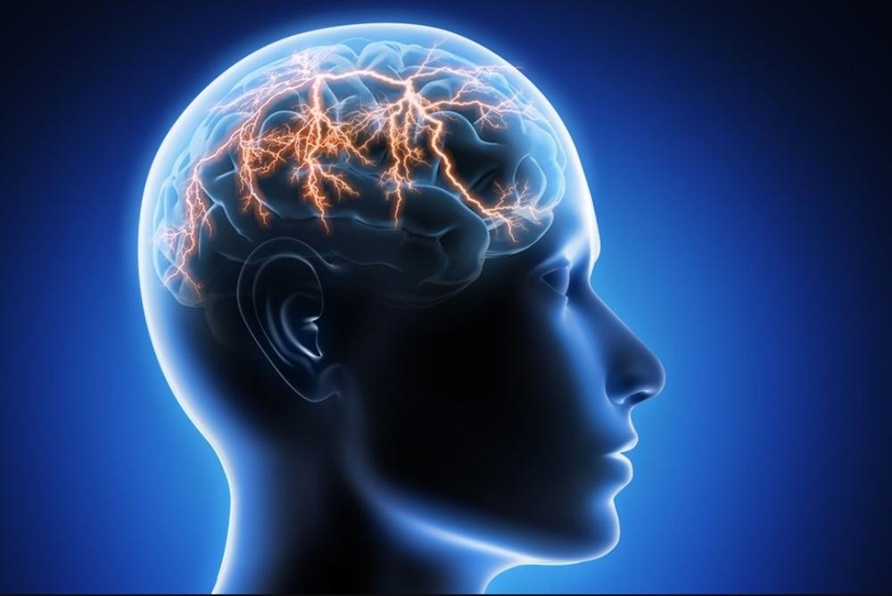 تنظيم أدوية الصرع