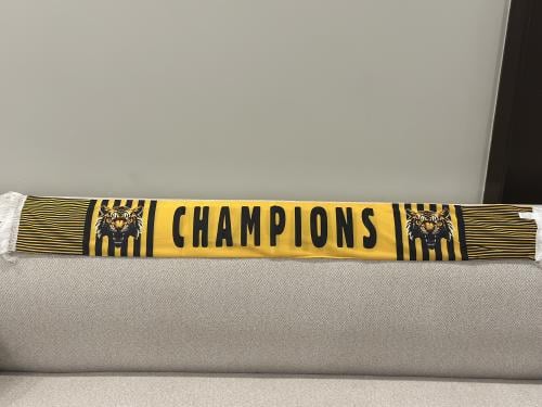 شعار الاتحاد champions