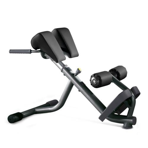 LOWER BACK BENCH