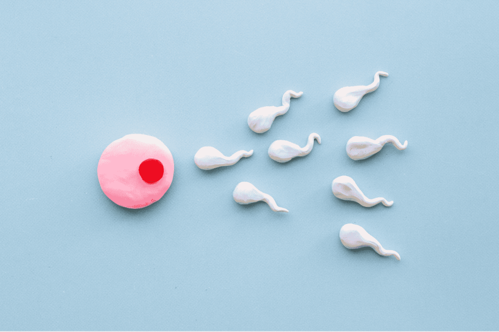 أفضل الفيتامينات لتحسين خصوبة الرجال بالأدلة العلمية