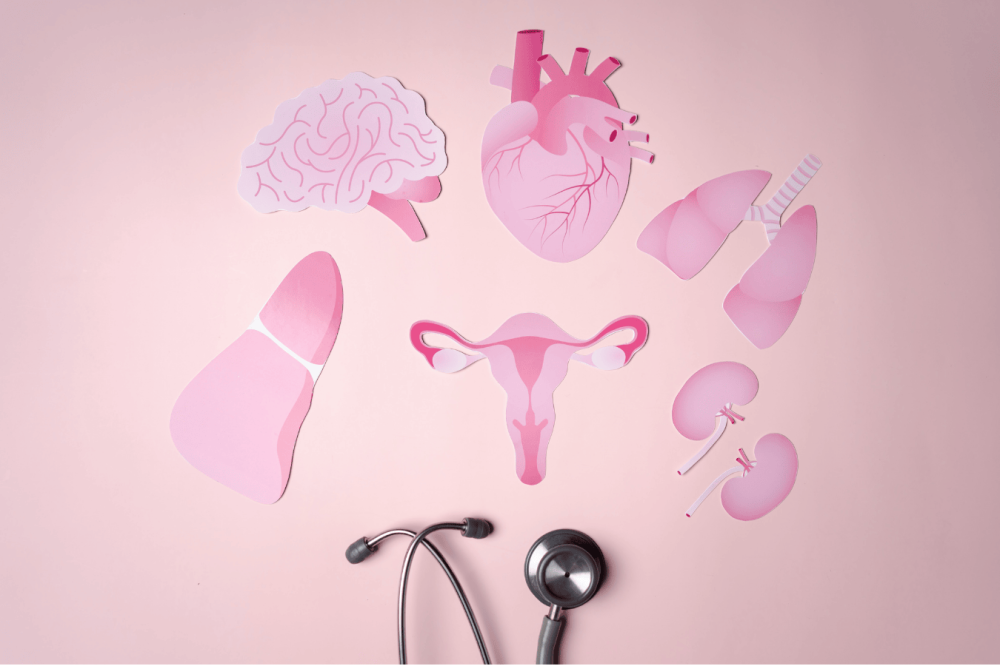 ما هي المكملات الغذائية التي تدعم صحة المرأة؟