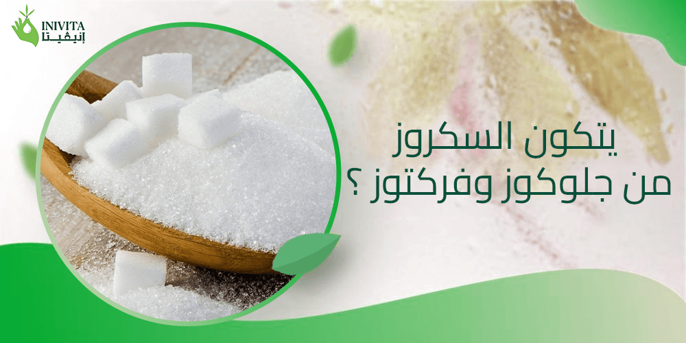 هل يتكون السكروز من جلوكوز وفركتوز ؟