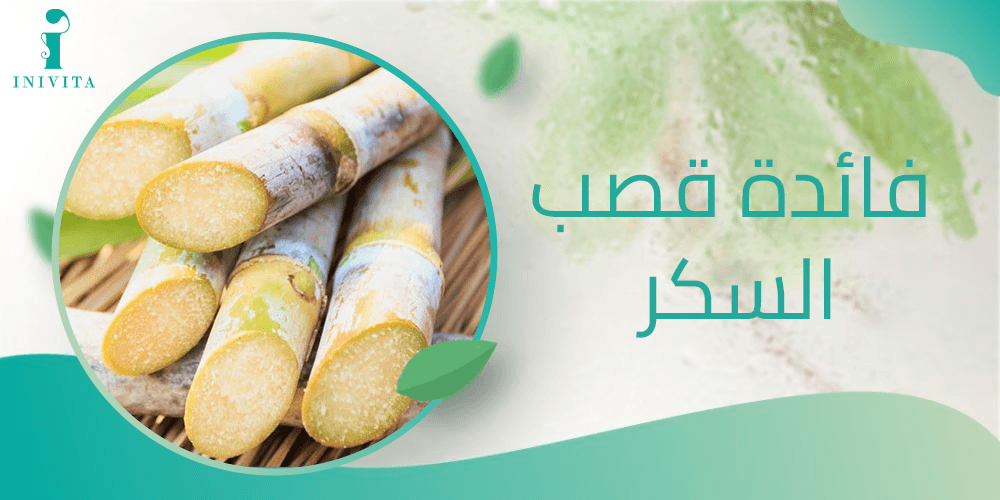 فائدة قصب السكر
