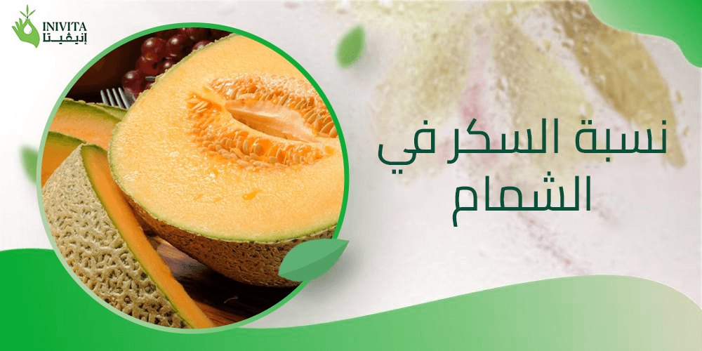 نسبة السكر في الشمام