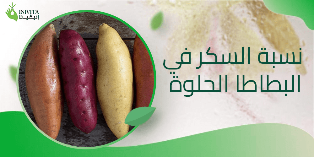 نسبة السكر في البطاطا الحلوة