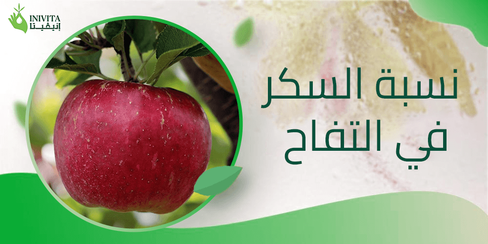 نسبة السكر في التفاح