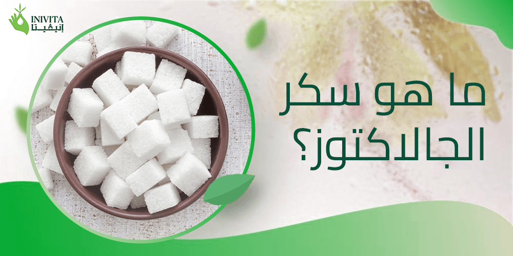ما هو سكر الجالاكتوز