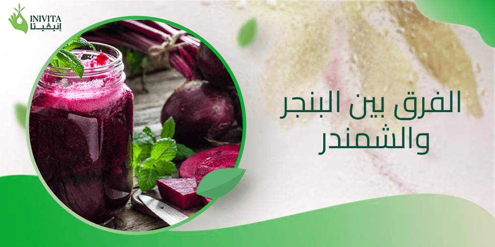 الفرق بين البنجر والشمندر