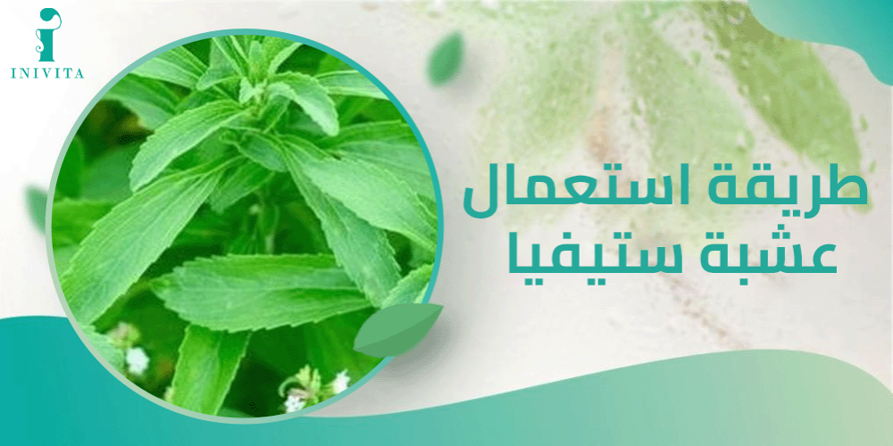 طريقة استعمال عشبة ستيفيا