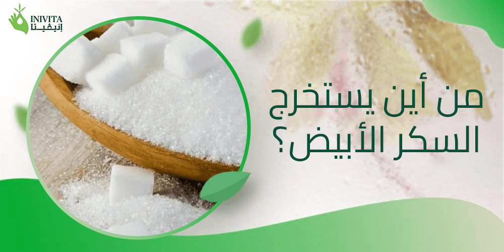 من أين يستخرج السكر الأبيض