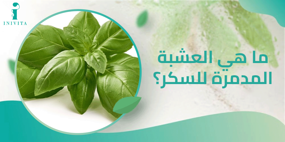 ما هي العشبة المدمرة للسكر