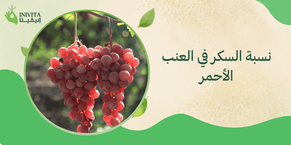 نسبة السكر في العنب الأحمر