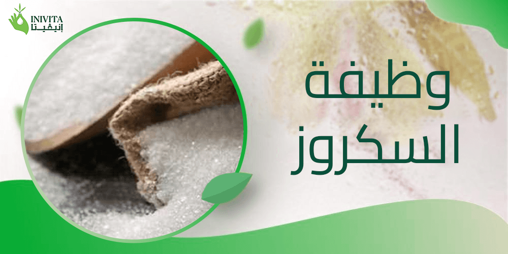 وظيفة السكروز