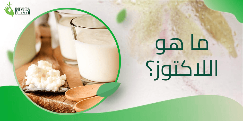 ما هو اللاكتوز