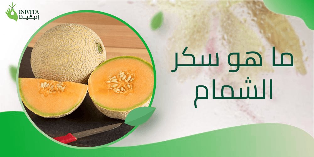 ما هو سكر الشمام