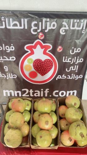رمان انتاج مزارع الطائف عدد 3 كرتون