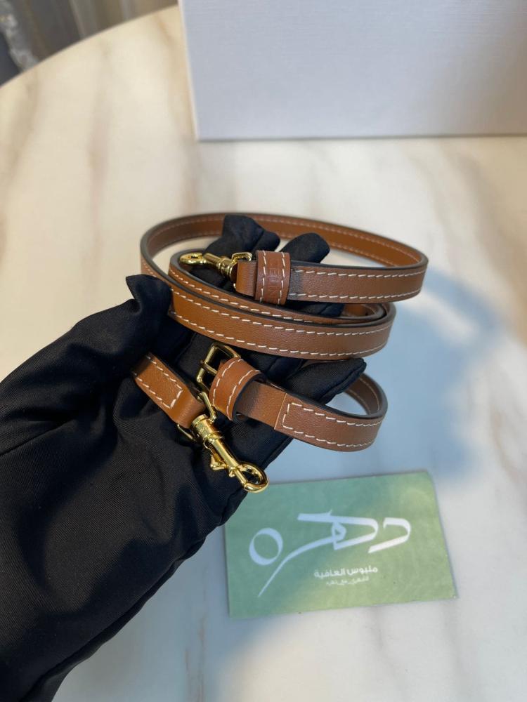 حقيبة سيلين كوير تريومف كاباس