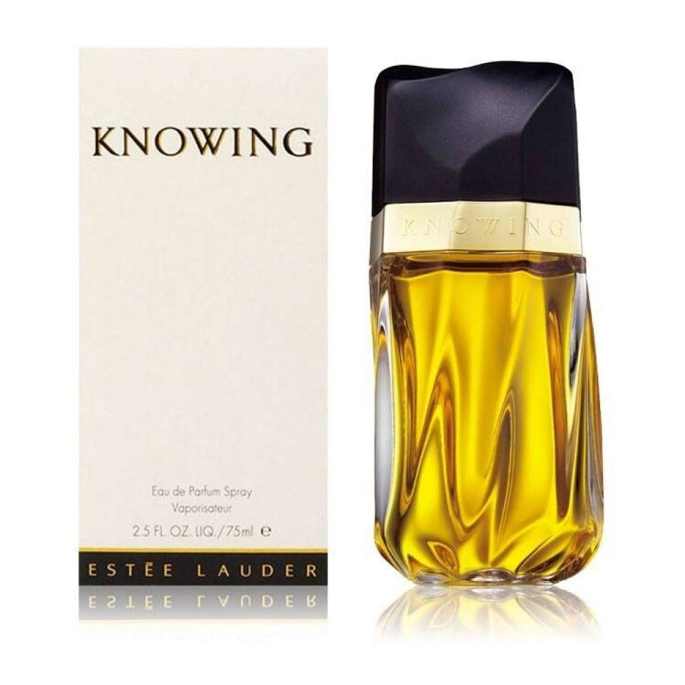 عطر استي لودر نوينج