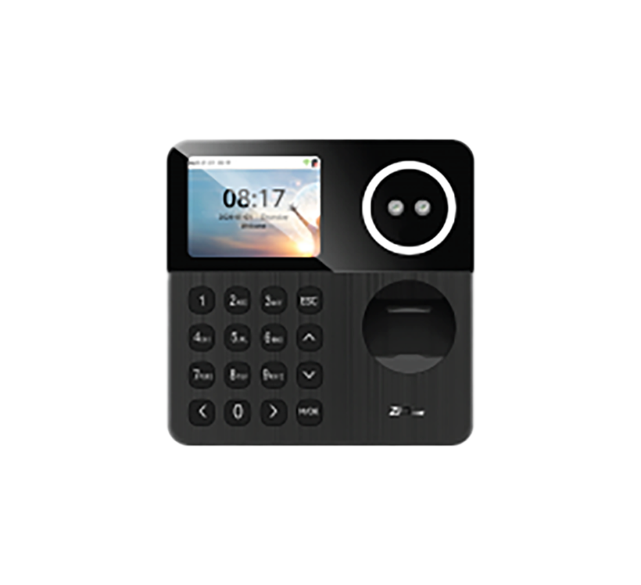 باقات الحضور