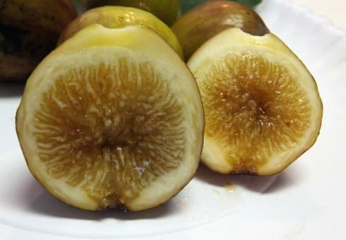 عقل تين آلما