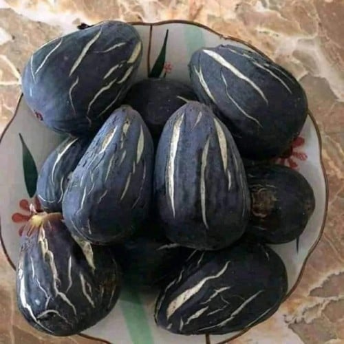 عقل تين الغدان مغربي