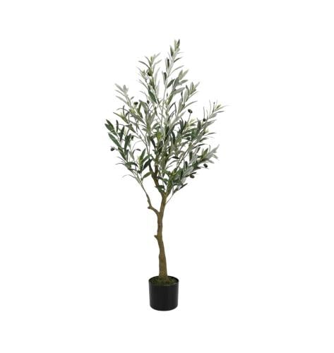 شجرة الزيتون 120 cm