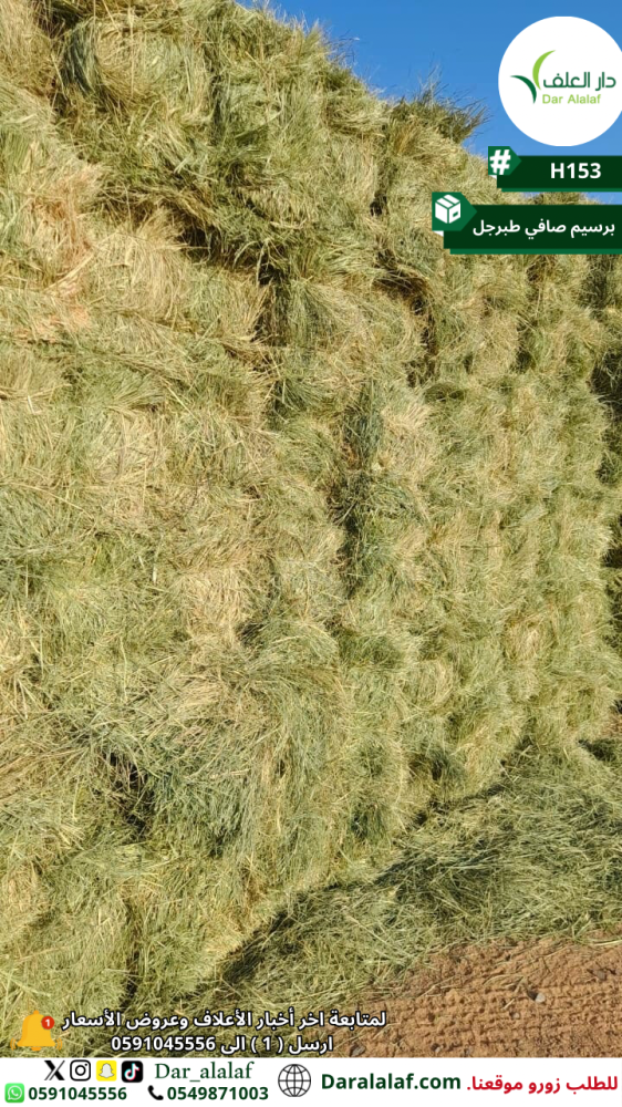 برسيم صافي طبرجل H153