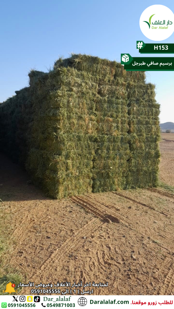 برسيم صافي طبرجل H153