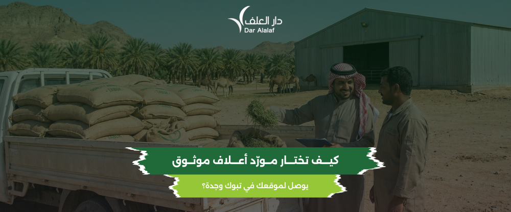 كيف تختار مورّد أعلاف موثوق يوصل لموقعك في تبوك وجدة؟