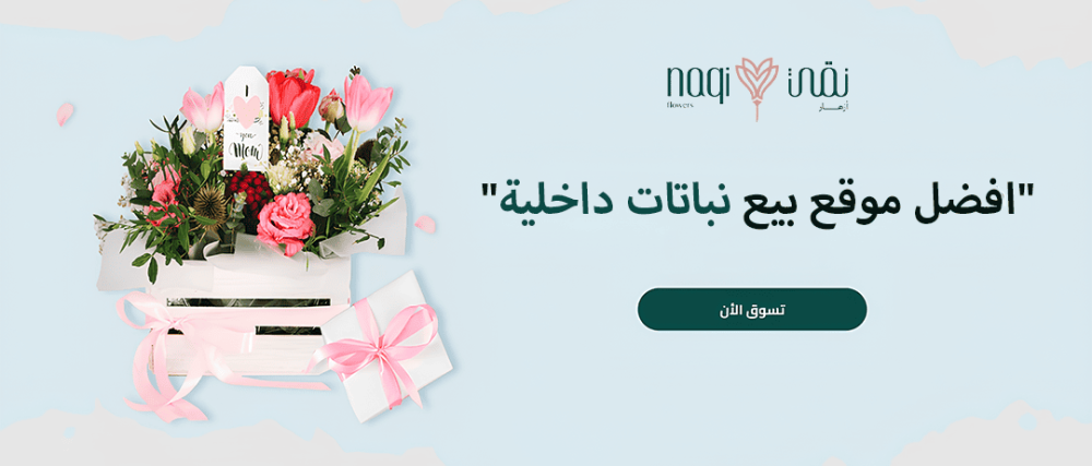 موقع بيع نباتات داخلية - أزهار نقي