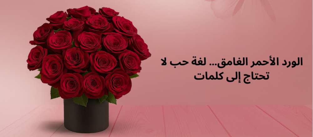 الورد الأحمر الغامق… لغة حب لا تحتاج إلى كلمات