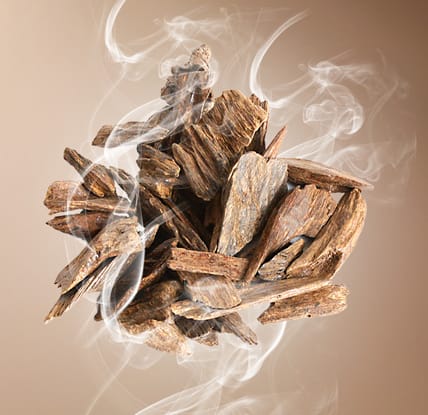 Oud wood