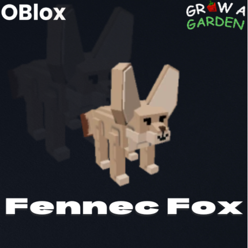 Fennec Fox - ثعلب صحراوي
