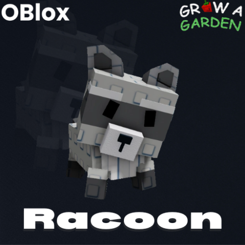 Racoon - راكون