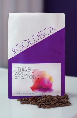 Ethiopia Wolde Anaerobic