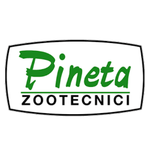 بينيتا Pineta