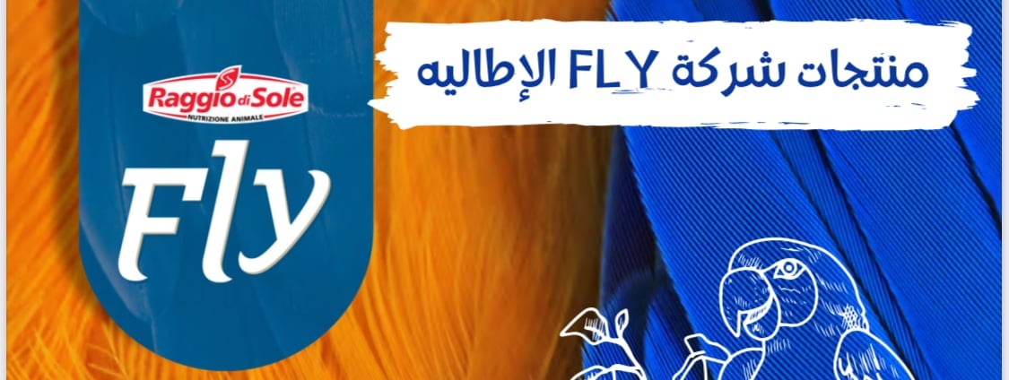 فلاي Fly