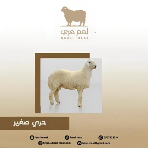 حري 3 شهور